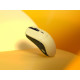 Egér Glorious Model O Pro Forge Optikai Wireless Golden Panda Egér Glorious Model O Pro Forge Optikai Wireless Golden Panda