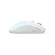 Egér Glorious Model O 2 RGB Optikai Wireless Fehér Egér Glorious Model O 2 RGB Optikai Wireless Fehér