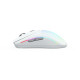 Egér Glorious Model O 2 RGB Optikai Wireless Fehér Egér Glorious Model O 2 RGB Optikai Wireless Fehér