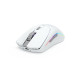 Egér Glorious Model O 2 RGB Optikai Wireless Fehér Egér Glorious Model O 2 RGB Optikai Wireless Fehér