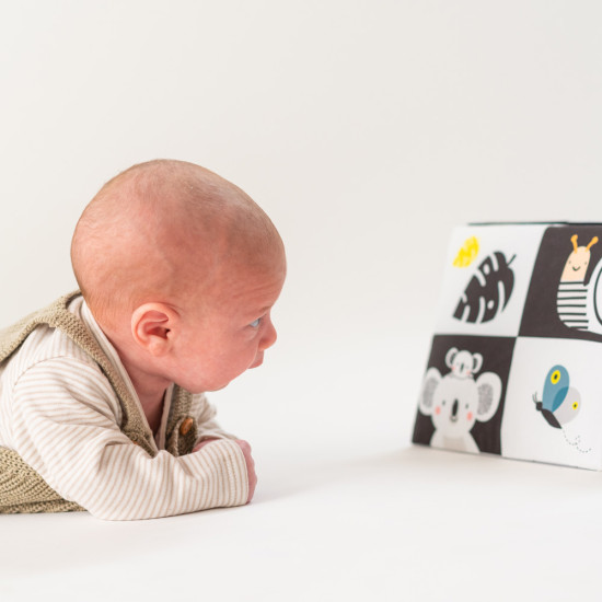 Taf Toys bébikönyv tükrös Tummy-time 12905 Taf Toys bébikönyv tükrös Tummy-time 12905