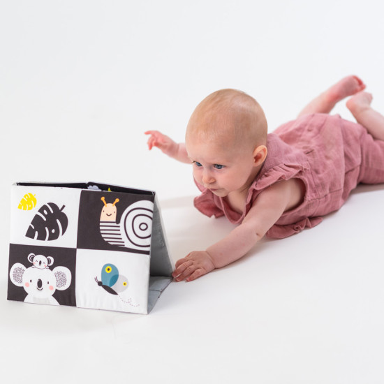 Taf Toys bébikönyv tükrös Tummy-time 12905 Taf Toys bébikönyv tükrös Tummy-time 12905